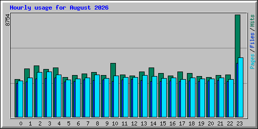 Hourly usage for August 2026